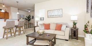 Clemmons Town Center Gallery 7