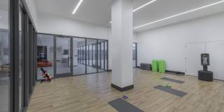 The Carson Gallery 43