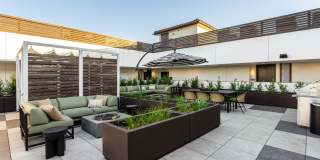 The Estelle: Elevated Amenities and Design ~ NOW OFFERING LIMITED-TIME LEASING SPECIALS! Gallery 477