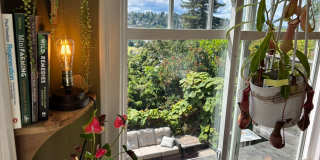 4Bd/2.75Ba Seattle Home Gallery 24