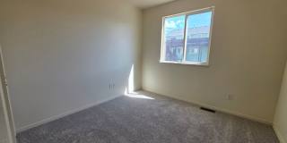 Gorgeous 4 Bed 4 bath Home In Wagon Trails!! Gallery 14