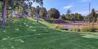 Southmoor Gallery 41