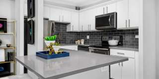 1146 South Michigan Ave. Gallery 5