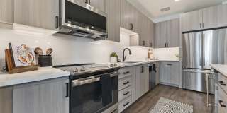 Soltra Kierland Gallery 2