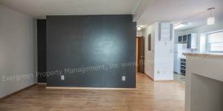 Beautiful One-Bedroom Apartment with Washer/Dryer Near CSU! Gallery 14