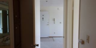 411 Gallery 17