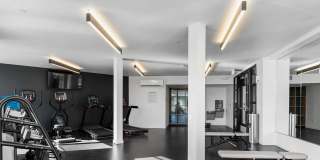 Lark Gallery 29
