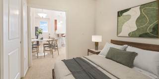 Apex Apartments Gallery 15