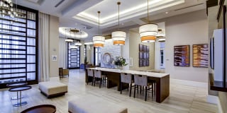 Sofia Coral Gables Gallery 8