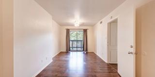 3102 Cedar Gallery 16