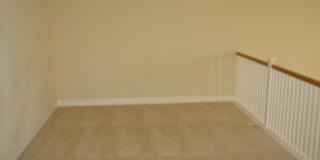 539 HEDGEWOOD Drive Gallery 13
