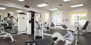 Victoria Place Gallery 82