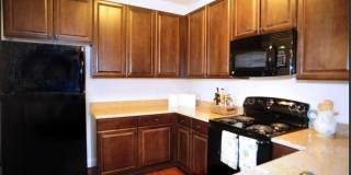 Briton Trace Apartments Gallery 25