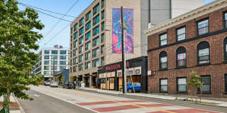 Tanager Gallery 5