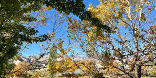 Fully Furnished Townhouse with Lake Views Gallery 1