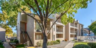 Silverado Apartments Gallery 41