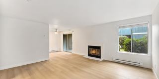 Rainier Pointe Gallery 8