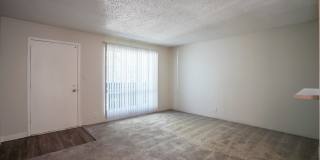 Treehouse Apartments Gallery 63