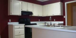 Comfortable 3BR/2BA Home with Open Floor Plan, Vaulted Living Room & Privacy-Fenced Backyard Gallery 13