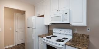 Volterra at La Mesa Gallery 70