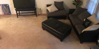 28 Hard Wood Dr Gallery 7