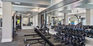 Alta Rise Gallery 12