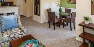 The Versailles Gallery 11