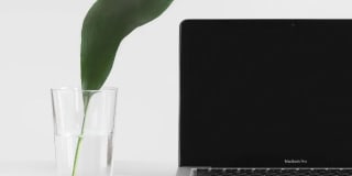 Avana Cumberland Gallery 35