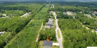 26 Serbian Bellflower Trail Gallery 37