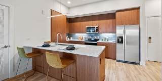 Luna at Viera Gallery 22