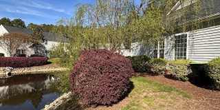 3013 Silky Dogwood Trail Gallery 39