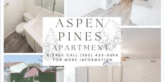 Aspen Pines Gallery 8