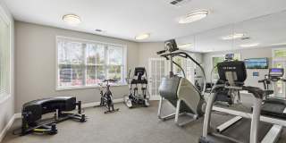 Stonehaven Gallery 16