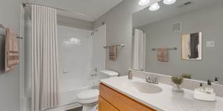 Timberglen Gallery 54