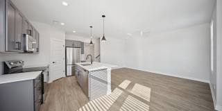 Area Gallery 3