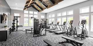 Alexan Magnolia Gallery 16