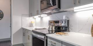 Reveal Skyline Gallery 29