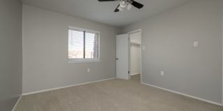 Meadowlark Gallery 26