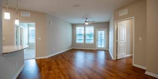 Century Dunes Gallery 28