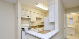 Charming 1BR/1BA Condo in Cardinal Forest, Springfield! Rent Includes Gas, Water, Sewer & Trash Gallery 3