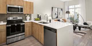 Deseo Grande Gallery 14