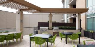 The Catherine Gallery 10