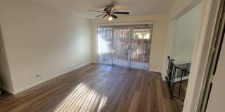 2776 Kerria Way Gallery 6