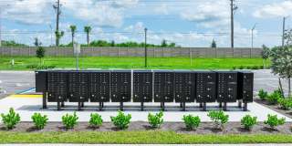 Adela at Orange Blossom - Townhomes & Apartments Gallery 28