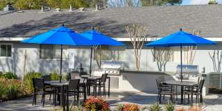 The Easton Apartments Gallery 14