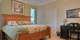 8705 Palm Tree Lane Gallery 10