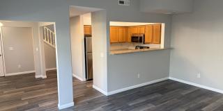 558 Torrey Pine Lane Gallery 4