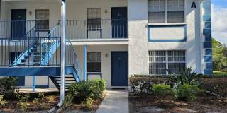 Lovely condo across from USF Gallery 1
