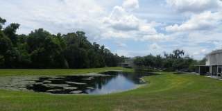 Gated Fishhawk Townhome! Gated Fishhawk Townhome! Gallery 17