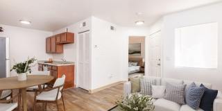 Mountain Steppes Gallery 3